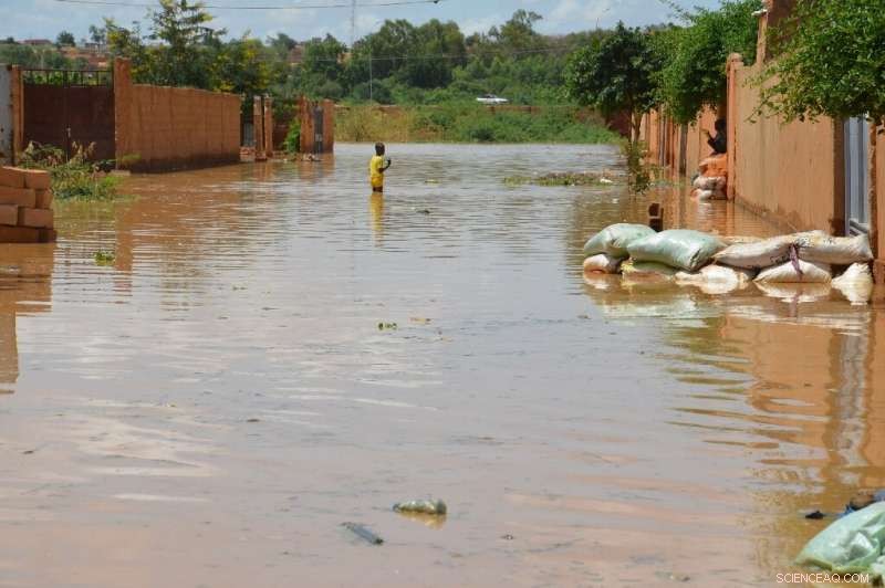 Niger Grapples with Devastating Floods as City Streets Overrun
