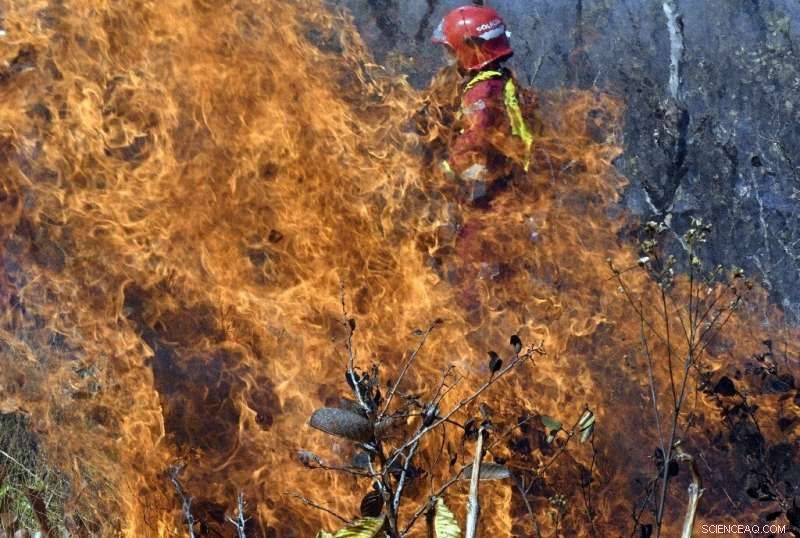 Bolivia Loses 1.7 Million Hectares to Wildfires, Officials Report