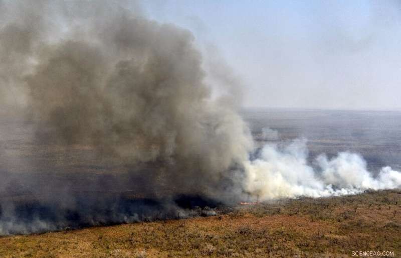 Bolivia Loses 1.7 Million Hectares to Wildfires, Officials Report