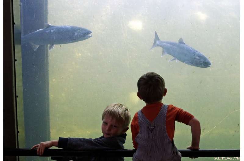 Scientists Track Emerging Marine Heat Wave Along the West Coast