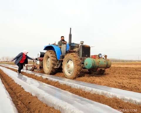 New Study Reveals How Crop Trading Shapes China’s Food Security