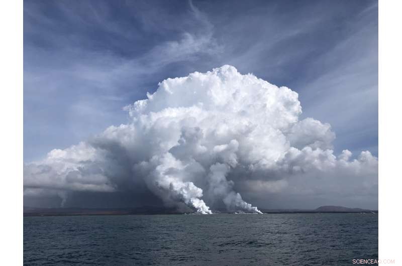 Kīlauea Lava Sparks Robust Phytoplankton Bloom Along Hawaii Island