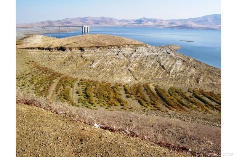 Strengthening California’s Water Supply: Proven Resilience Strategies