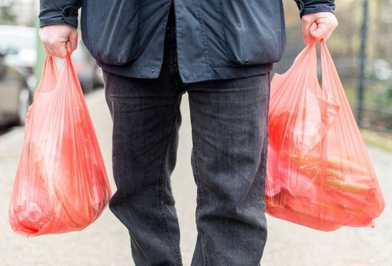 Germany to Ban Single‑Use Plastic Shopping Bags Starting Next Year