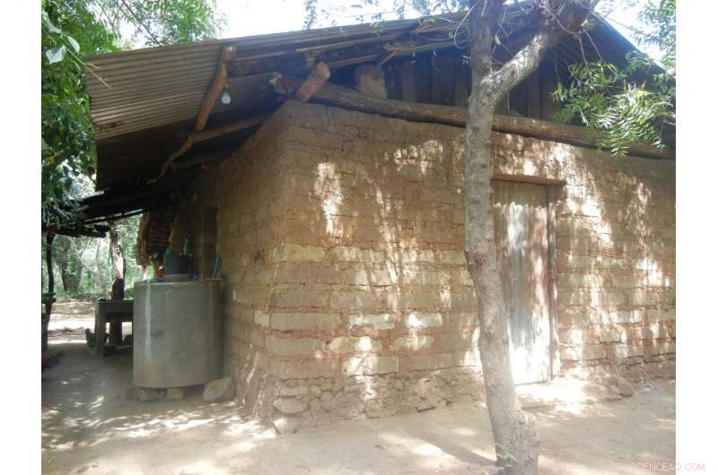 Beyond Borders: How Shifting Land Systems Shape Global Migration