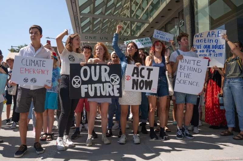 Is It Time for the International Community to Safeguard the Amazon?