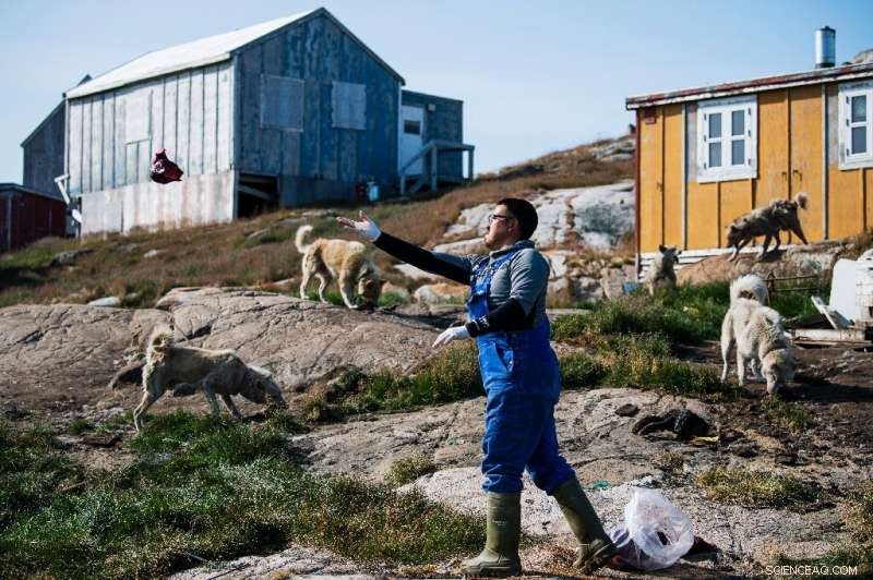 Shorter Winters in Greenland s Kulusuk Raise Concerns for Dog Sledding