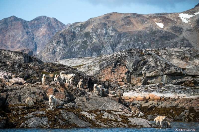Shorter Winters in Greenland s Kulusuk Raise Concerns for Dog Sledding