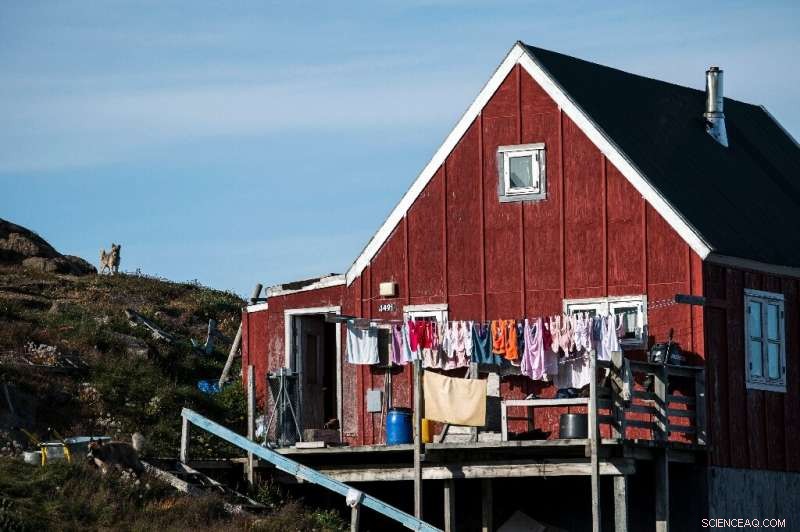 Shorter Winters in Greenland s Kulusuk Raise Concerns for Dog Sledding