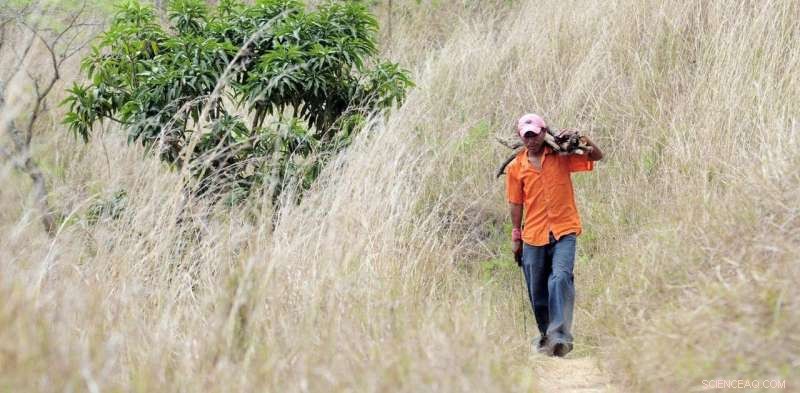 Climate Change Fuels Migration: How Environmental Shifts Drive Central American Emigration