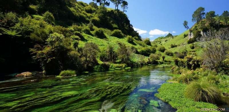 New Zealand Unveils Comprehensive Plan to Restore Lakes and Rivers