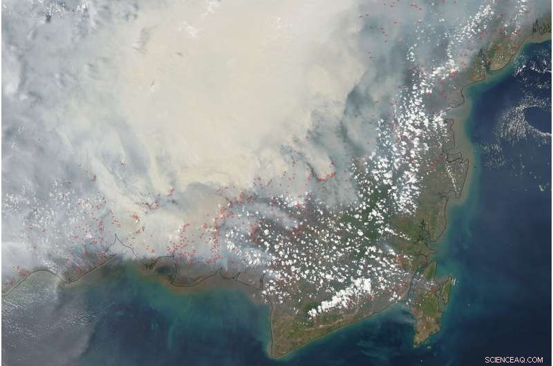 Satellite Data Highlights Global Peatland Fire Risk