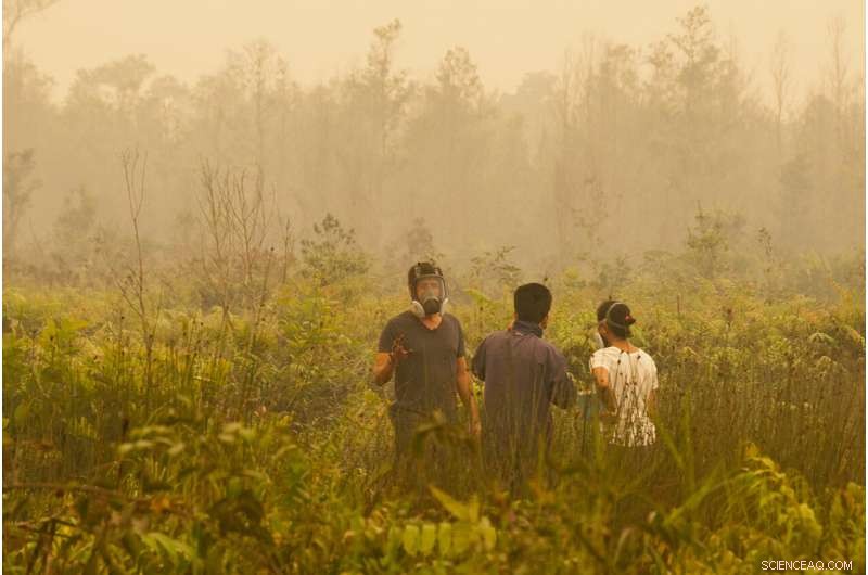 Satellite Data Highlights Global Peatland Fire Risk