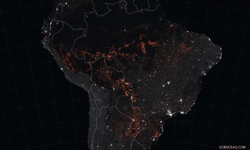 Record Amazon Fires Threaten Rainforest Ecosystem