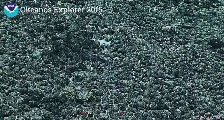 Is Deep‑Sea Mining Sustainable? Exploring Environmental and Economic Impacts