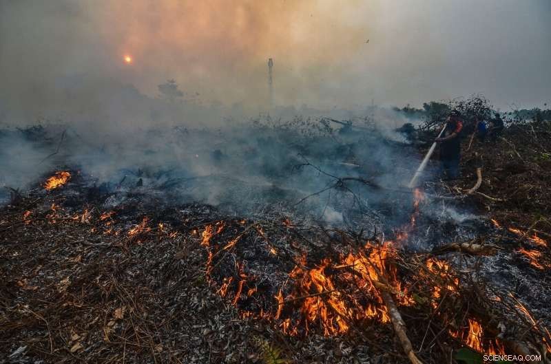 Indonesian Forest Fires Shut Hundreds of Schools Amid Toxic Smog