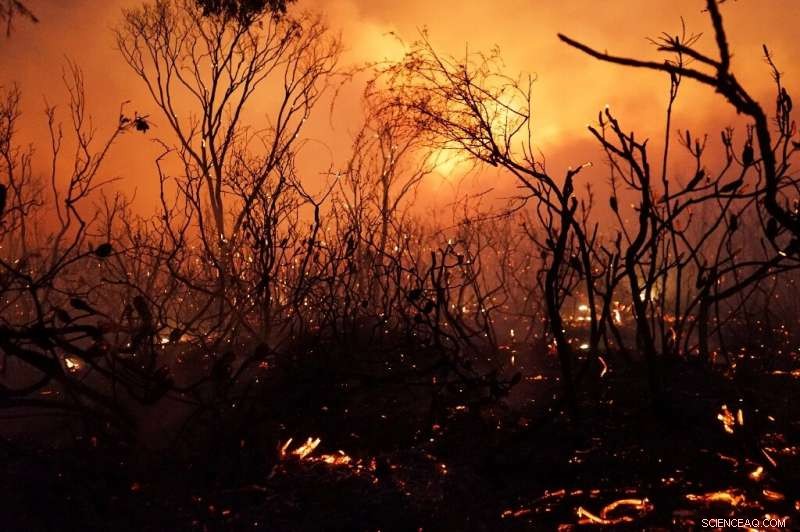 Intensive Firefighting Efforts Protect Homes Amid Australia’s Widespread Bushfires