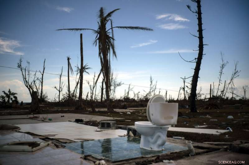 Experts Reveal How Climate Change Adaptation Yields Major Economic Gains