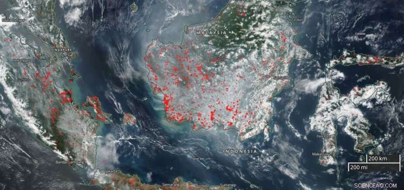 New App Identifies High-Risk Haze Zones to Protect Lives