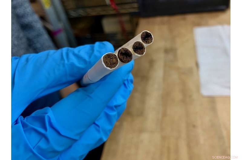 New Study Illuminates the Truth About Smoke-Free Tobacco Products