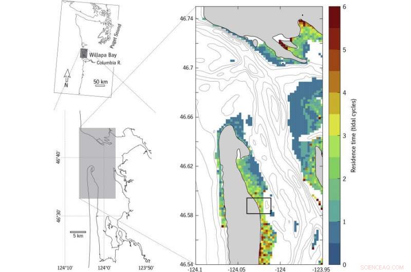 Study Reveals Tides Often Retain Water in Willapa Bay, Not Always Flush to Sea