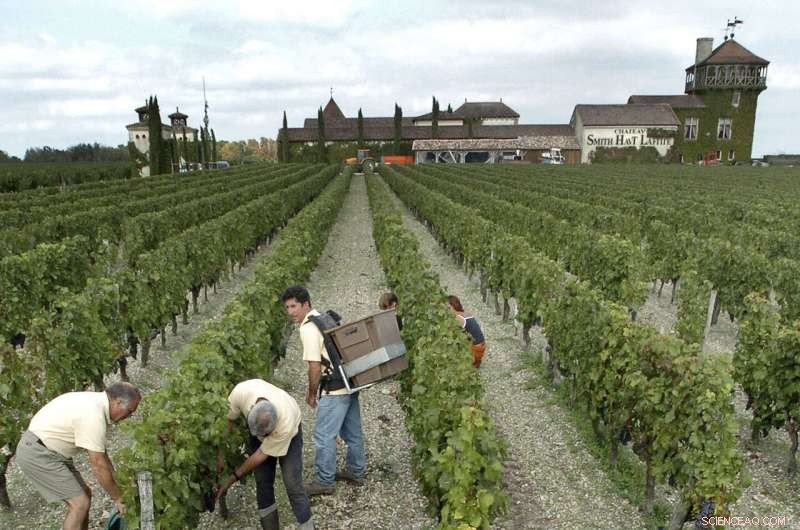 No-Spray Zones: Bridging the Divide Between French Farmers and Their Communities