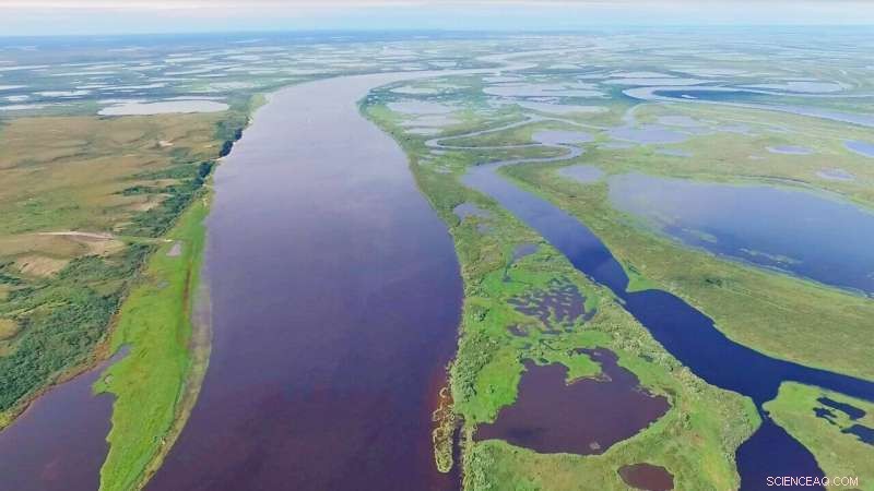 Permafrost Thaw Fuels Greenhouse Gas Emissions from Western Siberian Rivers and Lakes