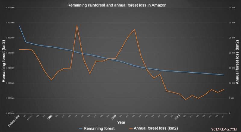 Amazon: Confronting the Legacy of Burnt Rainforests
