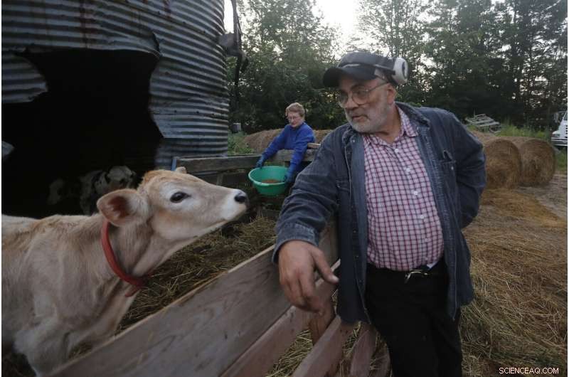 Tainted Sewage Sludge on Croplands Raises Growing Health Concerns