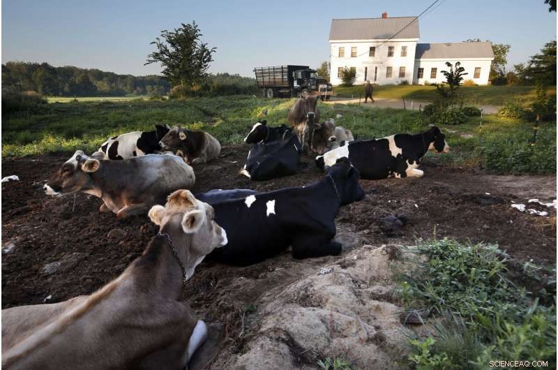 Tainted Sewage Sludge on Croplands Raises Growing Health Concerns