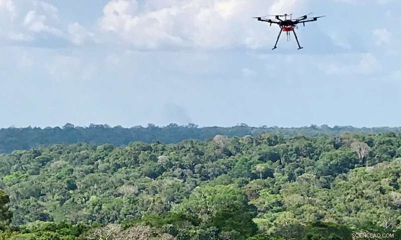 Unveiling the Amazon’s Chemical Fingerprint with Cutting‑Edge Science