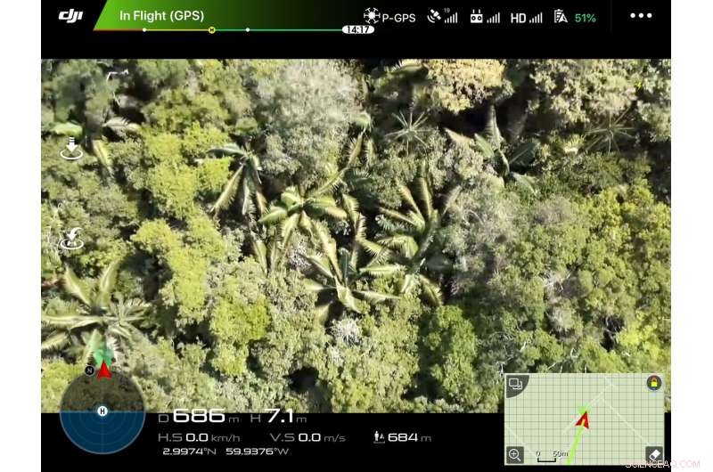 Unveiling the Amazon’s Chemical Fingerprint with Cutting‑Edge Science