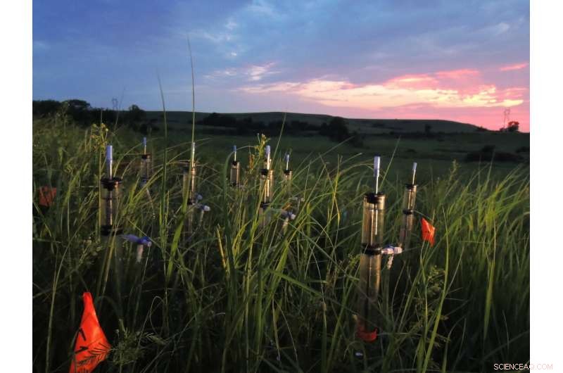 Climate Change Threatens Soil Health, Affecting Water Resources and Food Production