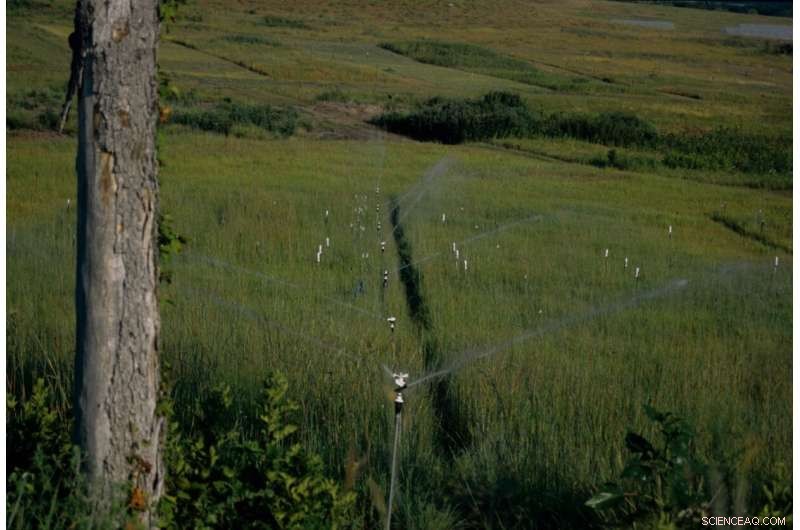Climate Change Threatens Soil Health, Affecting Water Resources and Food Production