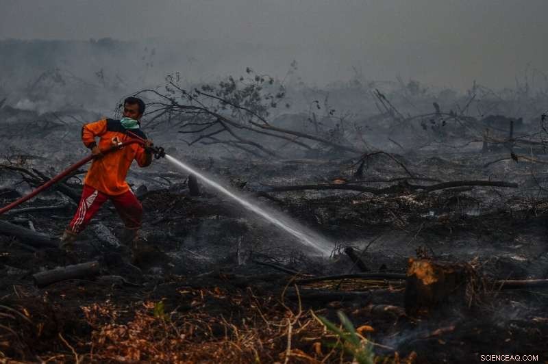 Indonesia Forest Fires Escalate, Heightening Global Warming Alarm