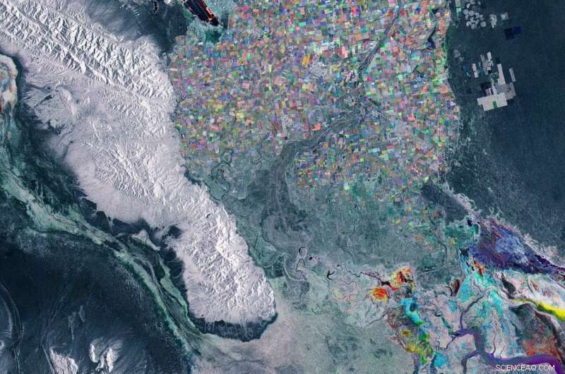High-Resolution Sentinel-1 Satellite Image of Baja California, Mexico