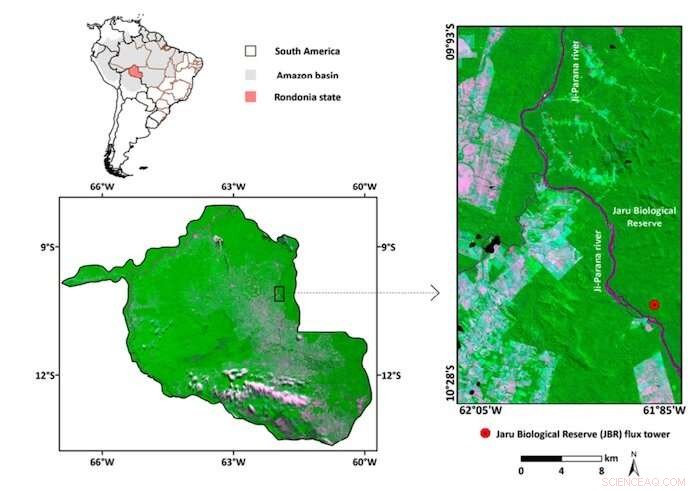 Satellite Analysis Reveals 2019 Amazon Fire Patterns