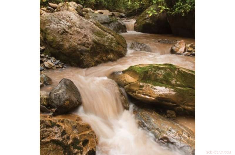 Tropical Montane Rivers: Nature s Hidden Powerhouses