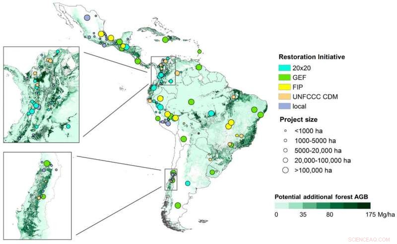 Latin American Land Restoration: A Powerful Climate Change Mitigation Tool
