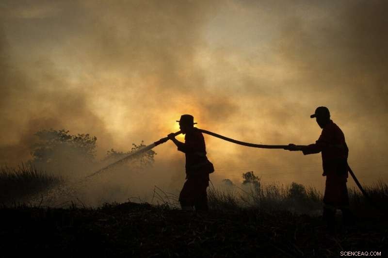 Global Wildfires Threaten Forests That Shield the Planet from Climate Change