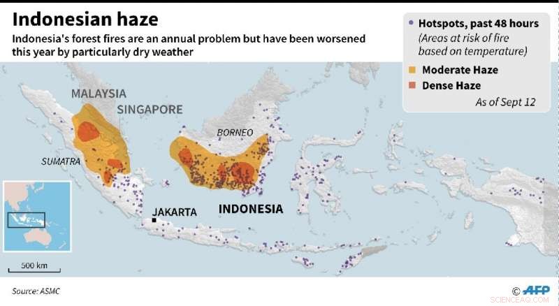 Global Wildfires Threaten Forests That Shield the Planet from Climate Change