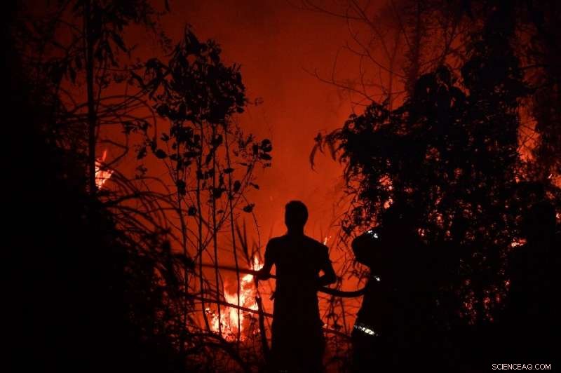 Indonesia Battles Wildfires: Frontline Efforts to Protect Rainforests