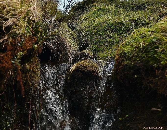 Indigenous Ecuadorian Tribes Weigh Water Rights vs. Gold Exploration