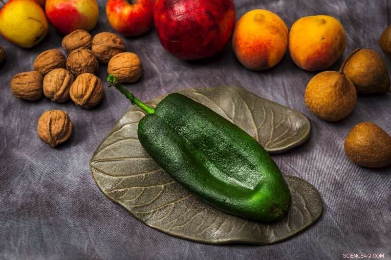 Farmers and Chefs Unite to Preserve Traditional Mexican Ingredients