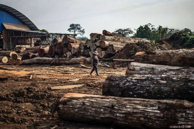 Temporary Legal Relief Won’t End Amazon Indigenous Communities’ Struggle Against Miners