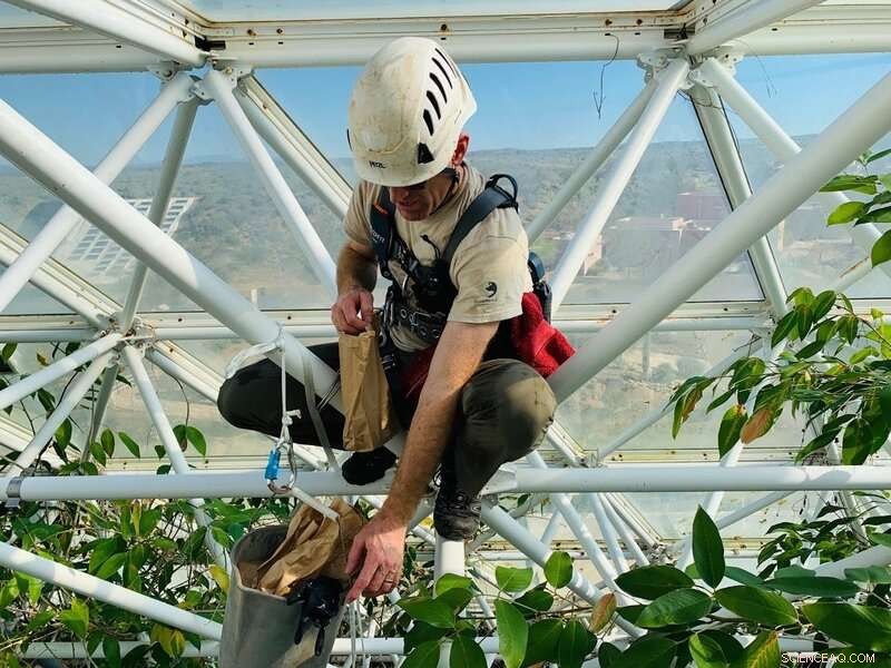 Biosphere 2 Rainforest Enters Controlled Drought Experiment: Full Closure Ensures Precise Data Collection