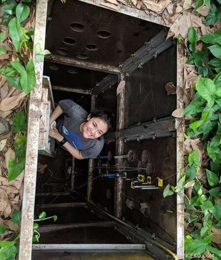 Biosphere 2 Rainforest Enters Controlled Drought Experiment: Full Closure Ensures Precise Data Collection