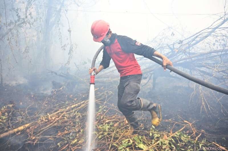 Indonesia’s Underground Fires: A Critical Battle to Protect Rainforests