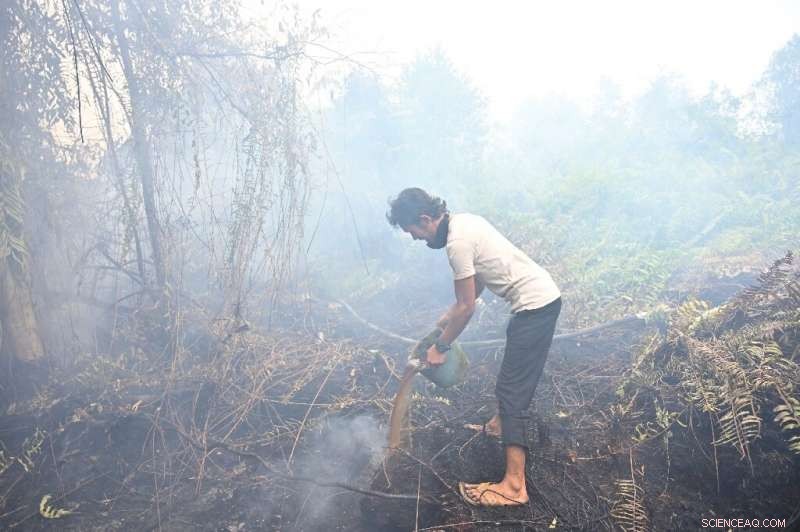 Indonesia’s Underground Fires: A Critical Battle to Protect Rainforests