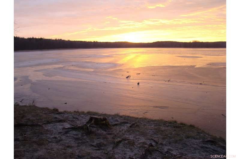 Scientists Urge Immediate Action to Mitigate Rising Forest Fire Risk